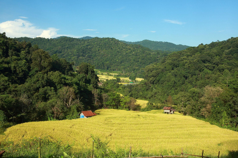 Doi Inthanon &amp; Kew Mae Pan: Natur, kultur och äventyr