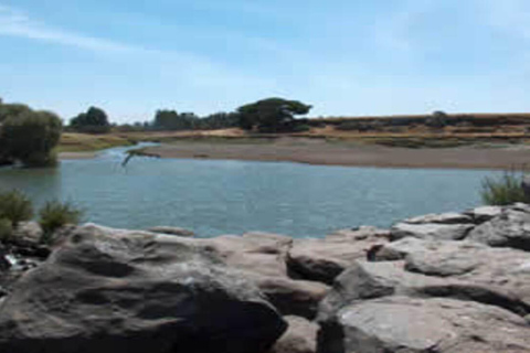 From Addis Ababa: Melka Kunture Archaeological Site Tour
