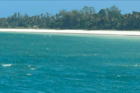 Mombasa to Diani full day snorkeling, beach and sunset tour
