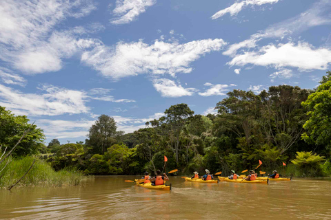 Excursión en kayak Hallertau Clevedon