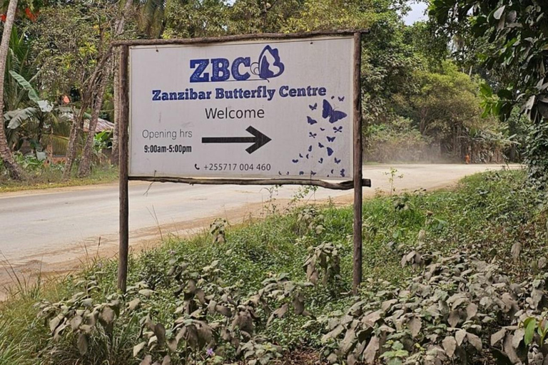 Zanzibar: Jozani forest, Butterfly center & Salaam cave tour Tour with Hotel pick up and drop off included