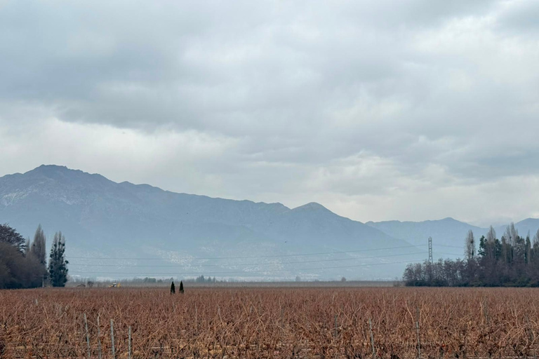 From Santiago: Casa Fevre Tour with Wine Tasting