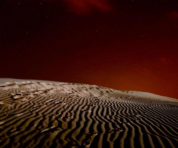Doha Night Desert Safari Stargazing And Camel Ride
