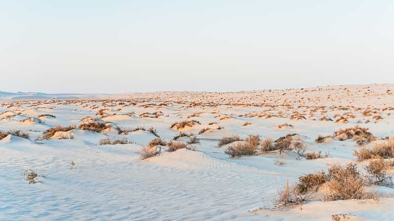 Doha Desert Safari Dune Bashing Sandboarding Camel Ride GetYourGuide