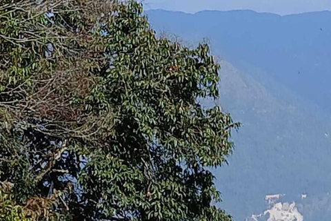 Shivapuri Nagarjun: Half-Day Hiking to Jamacho Gumba