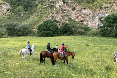 Lucerne: Horseback Riding Tour with Grooming & Saddling
