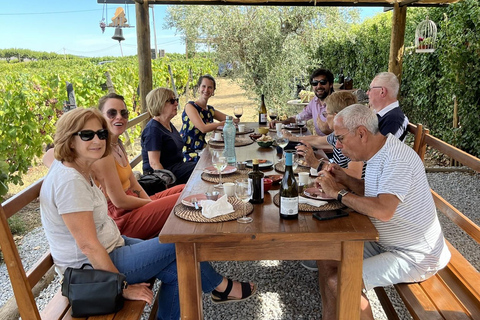 Porto: DOURO VALLEY i AMARANTE Wycieczka półdniowa po mieście