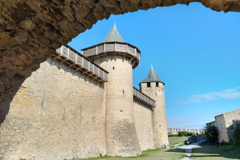 Carcassonne: Private Guided Tour with Castle Entry Ticket