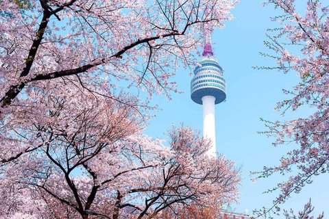 Seoul: K-Pop & K-Culture Highlights Small Group Tour Hongik uni station Exit no3