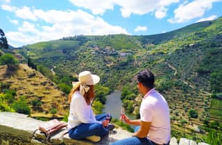 Porto: Douro-Tal-Tour: 9 Weine, authentisches Mittagessen & private Bootsfahrt