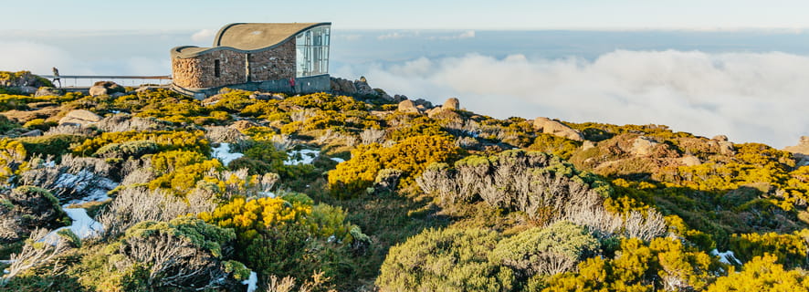 Viagem de um dia a Mt Wellington, Mt Field, Bonorong e Richmond