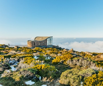 Hobart: Mt Wellington, Mt Field, Bonorong and Richmond Trip