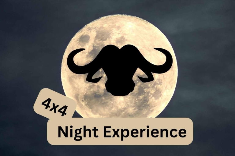Victoria Falls : 4x4 Night Experience around Victoria Falls Victoria Falls: Night Experience in 4x4 Victoria Falls