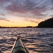 Sydney: Sunset Kayak Tour with Views of the Opera House