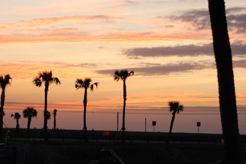 From Miami: Everglades Night Tour with Airboat Ride