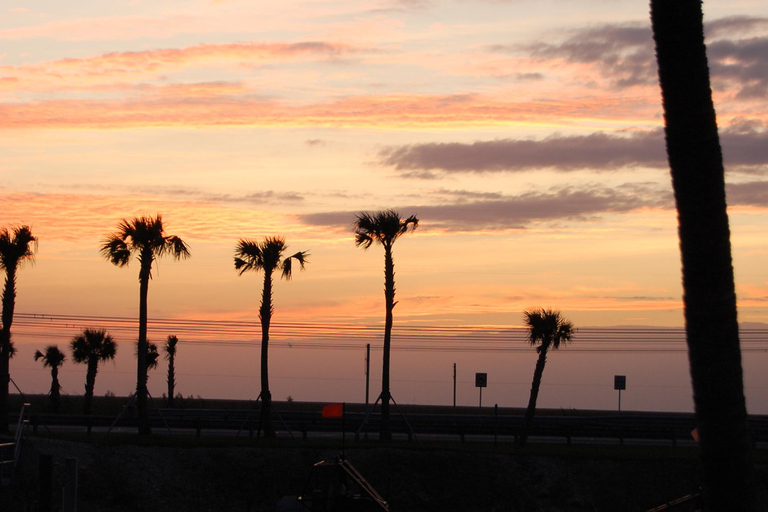 From Miami: Everglades Night Tour with Airboat Ride