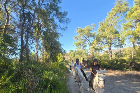 Side: Horse Safari and Family Activity Park Entry 2-Hour Extended Horse Safari Experience