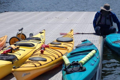The Woodlands, Texas: Adaptive Paddling Guided Eco-Tour