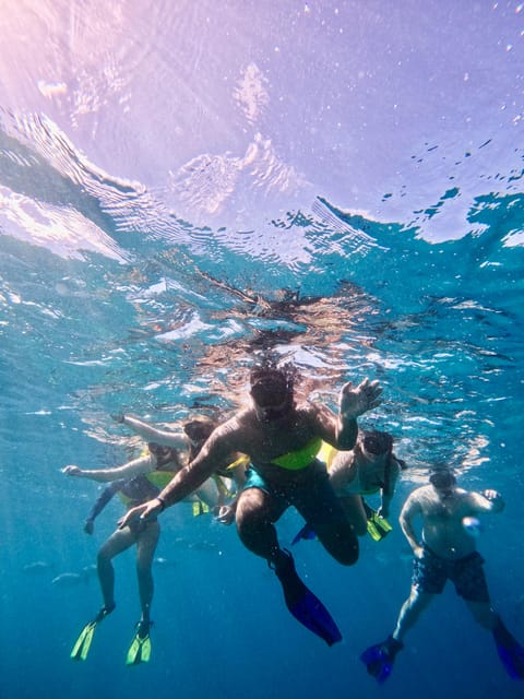 Oahu Croisi Re Priv E En Catamaran Honolulu Avec Plong E En Apn E