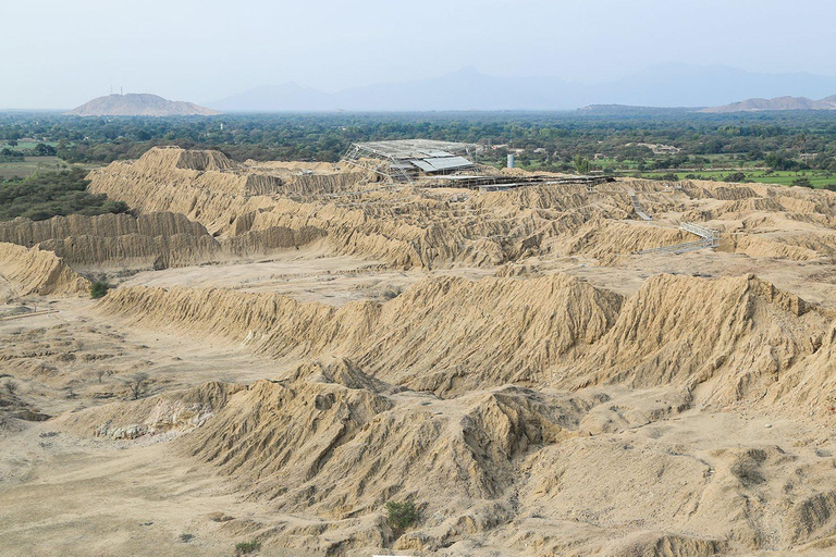 Unveiling Sipán's Treasures - A Tour from Trujillo