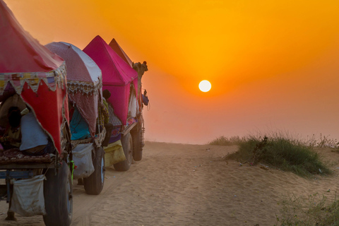 Excursión de un Día Desde Pushkar Sin Guía