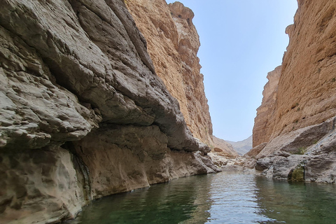 From Muscat: Wadi Al Arbieen Adventure, Sinkhole, Fins Beach