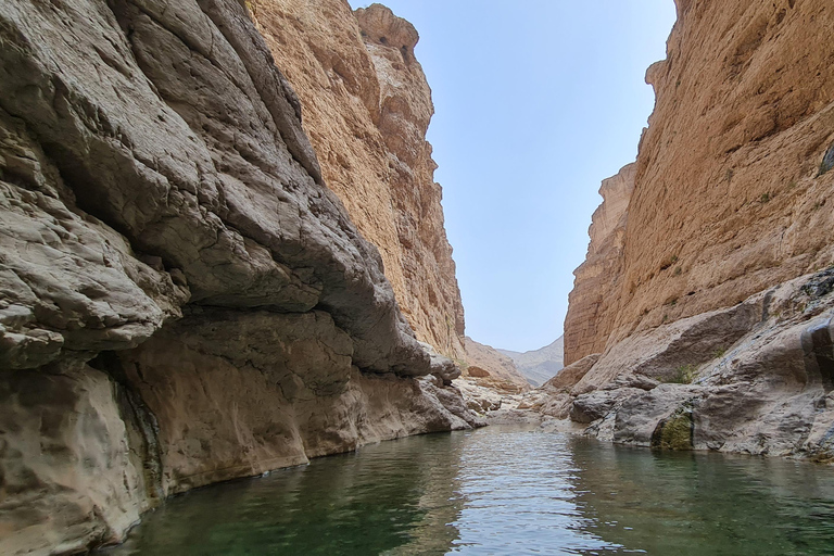 From Muscat: Wadi Al Arbieen Adventure, Sinkhole, Fins Beach