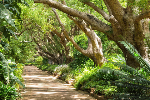 Le Cap : billet d&#039;entrée au jardin botanique de Kirstenbosch