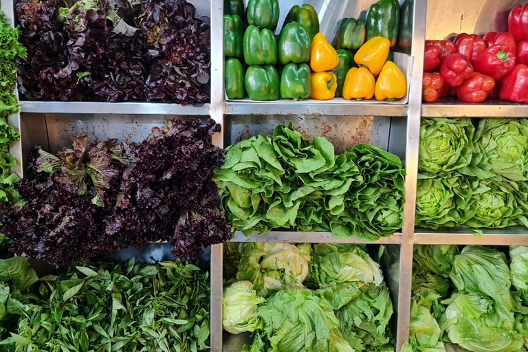 Lima: Market Experience and Ceviche Cooking Class