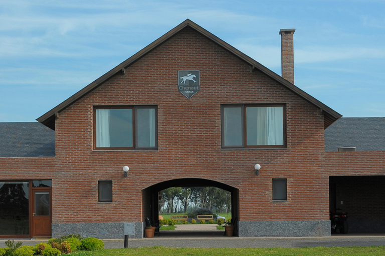 Paarden, Asado &amp; Natuur. Een dag op een volbloedfokkerij