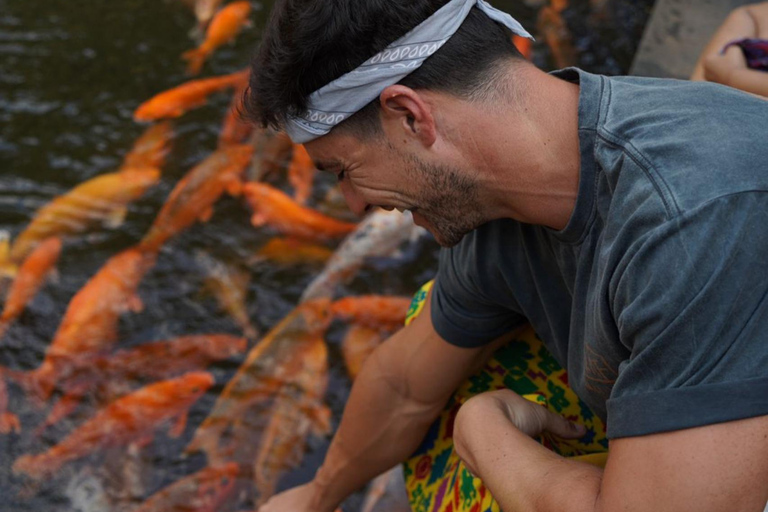 Private Ubud Tour – Monkey Forest, Rice Terrace & Waterfall Without Entry Tickets Half Day Tour