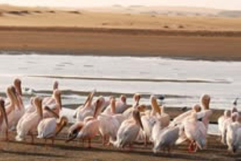 Walvis Bay: Mein Schiff Flow Exclusive Excursion