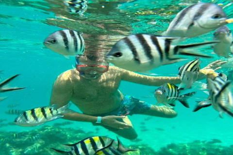 Zanzibar: snorkelen en dolfijnen kijken op Mnemba Island
