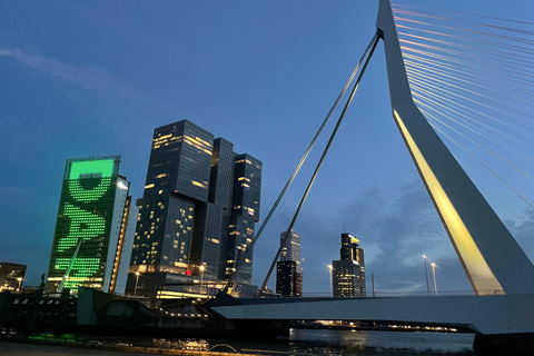 Rotterdam: Guided Walking Tour