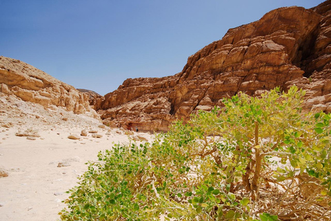 Sharm El-Sheikh: Jeep Adventure to Blue Hole, Canyon & Dahab Option 1 - Colored Canyon without Blue Hole & Abu Galum