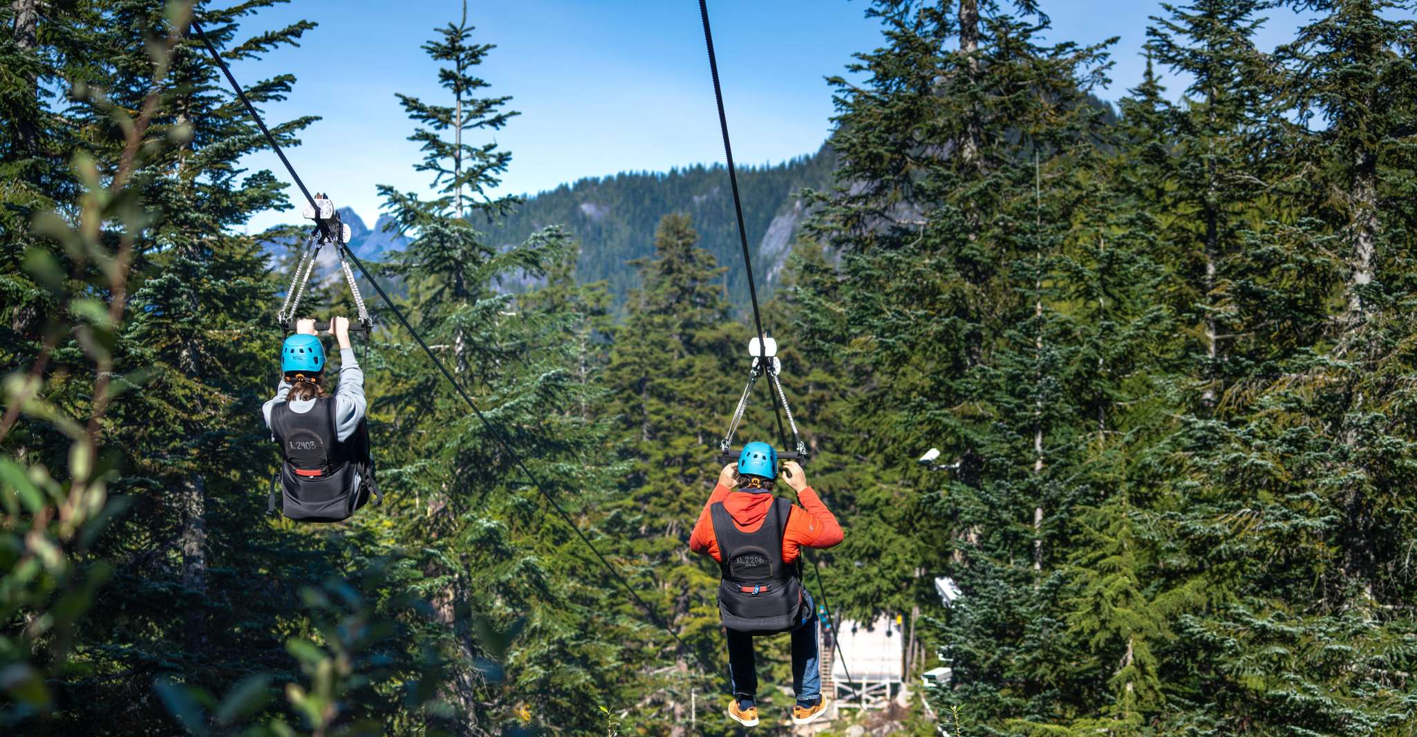 Vancouver Grouse Mountain Express With Gondola Ride