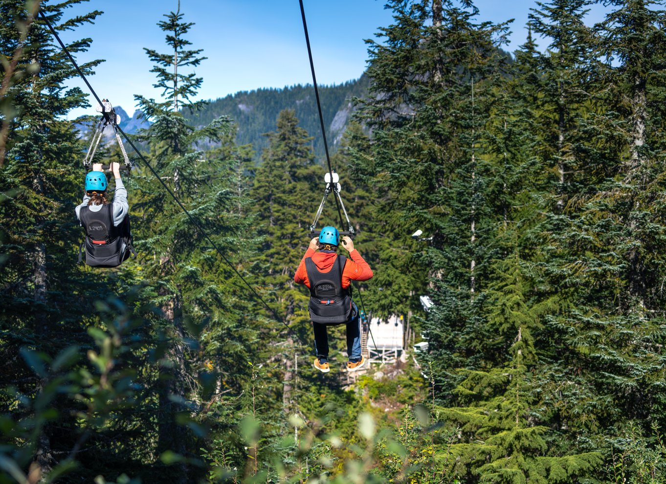 Adgangsbillet til Grouse Mountain Skyride