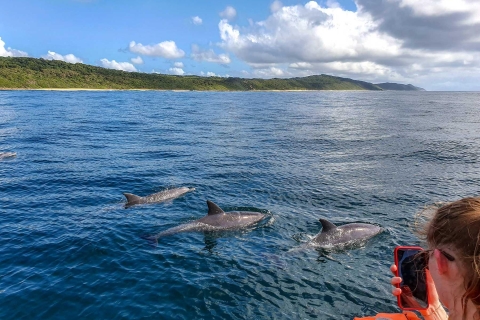 Dolfijnen zwemmen en snorkelen met privédinerarrangement bij zonsondergang