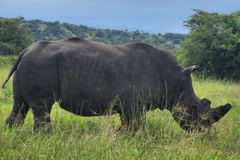 Kigali: Akagera National Park Safari with Lunch & Wi-Fi