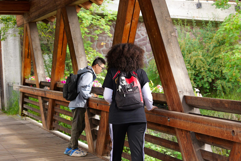 Dolomites Full-Day Tour from Lake Garda From Gargnano
