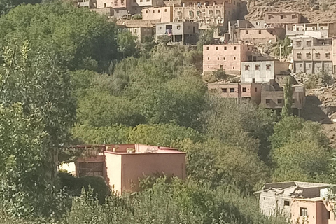 Journée de trekking dans les villages les plus reculés de l'Atlas et déjeunerTrekking à travers les villages les plus reculés de l'Atlas & déjeuner