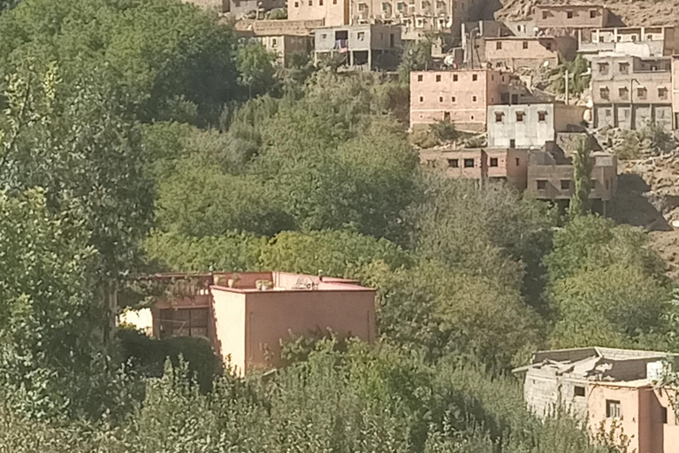 Journée de trekking dans les villages les plus reculés de l'Atlas et déjeunerTrekking à travers les villages les plus reculés de l'Atlas & déjeuner