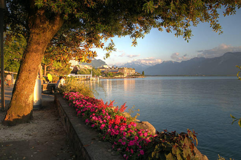 From Geneva: Chillon Castle, Sion, and Täsch Tesla Transfer