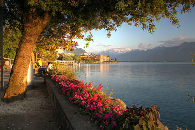 From Geneva: Chillon Castle, Sion, and Täsch Tesla Transfer