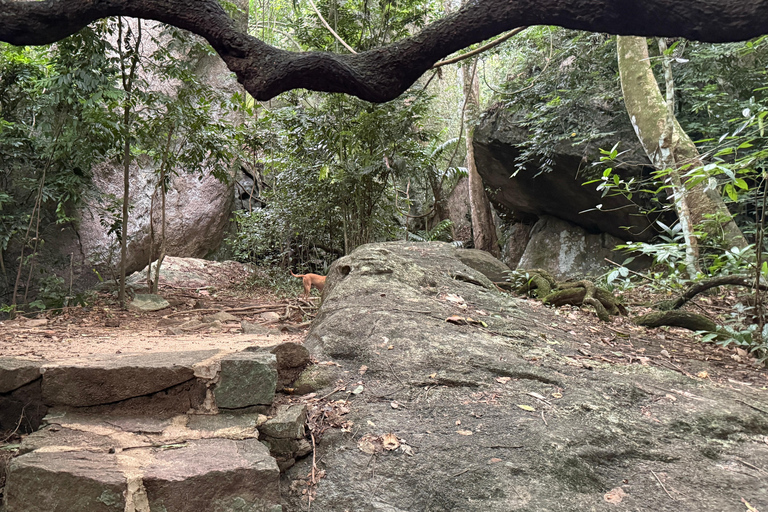 From Colombo: Cave Temples, Jungle Trek & Waterfall Swim