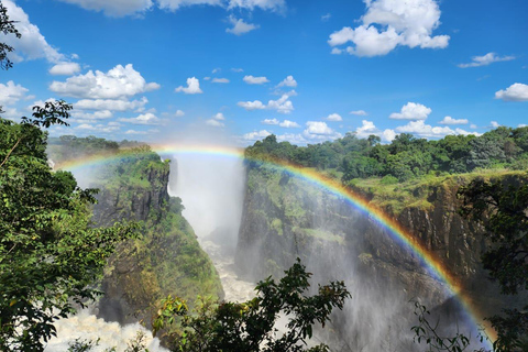 Experience Victoria Falls with an Expert Guide
