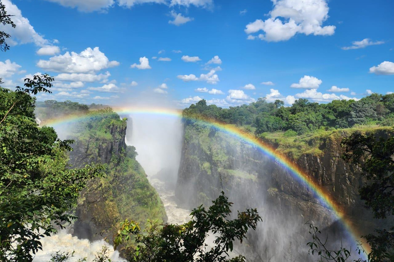 Experience Victoria Falls with an Expert Guide