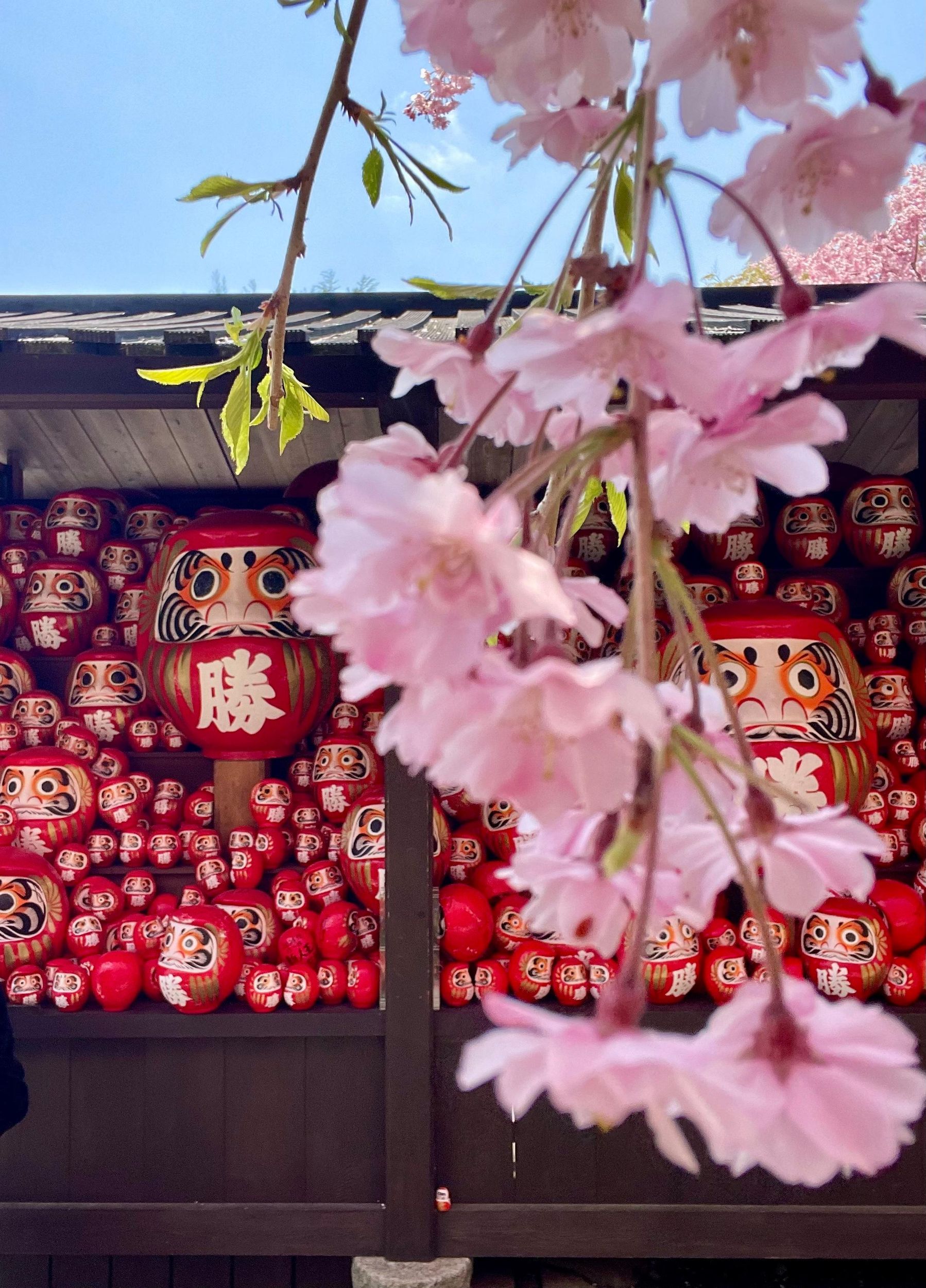 Osaka: Ganztagestour nach Minoh, zum Katsuoji-Tempel und zu den Minoh-Wasserfällen