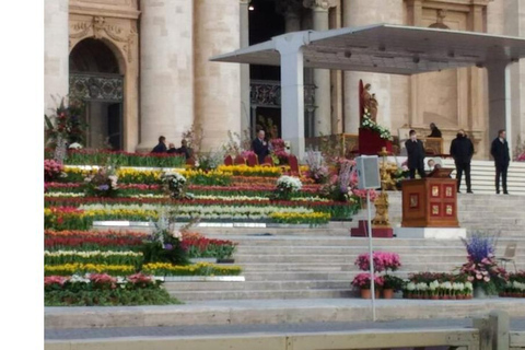 Papstaudienz, Vatikanische Museen und Sixtinische Kapelle Tour