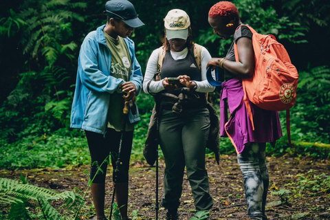 Arusha: Uluguru Mountains 2-Day Hiking and Camping Tour